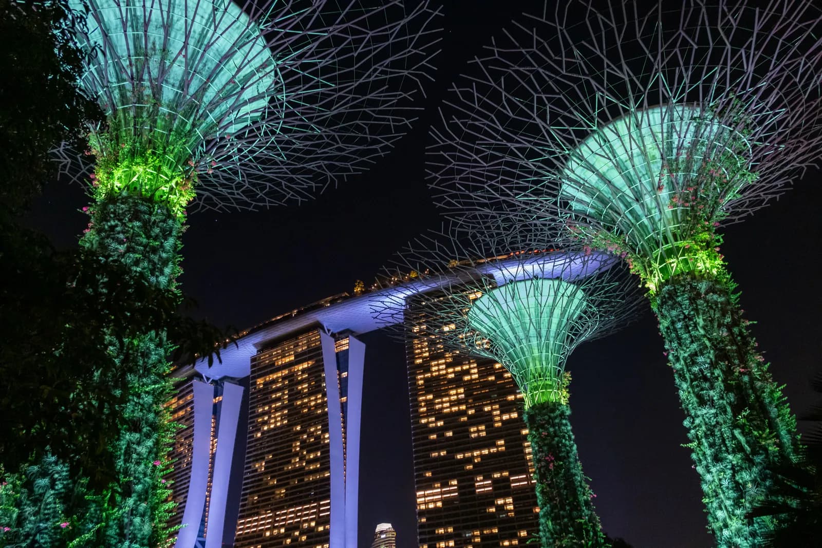 Trek 2000's 11x Earnings Jump Shows AI Demand Is Reaching Singapore's Own Hardware Names