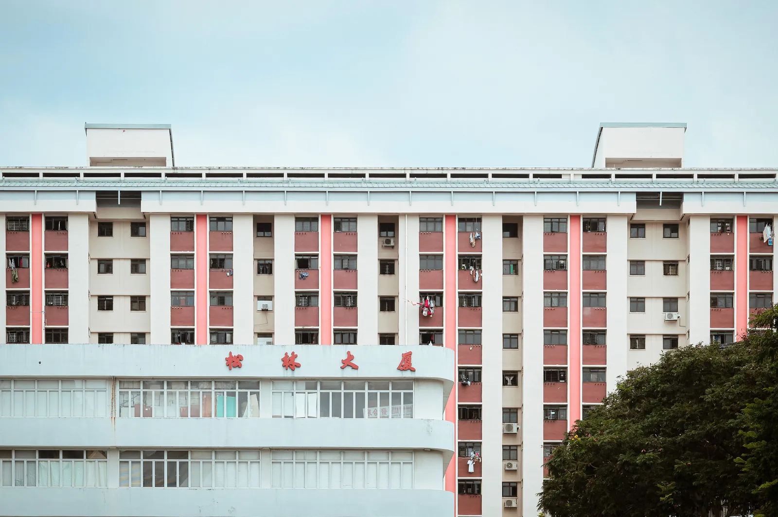 SCS launches AI skills pathway as IMDA targets legal sector fluency