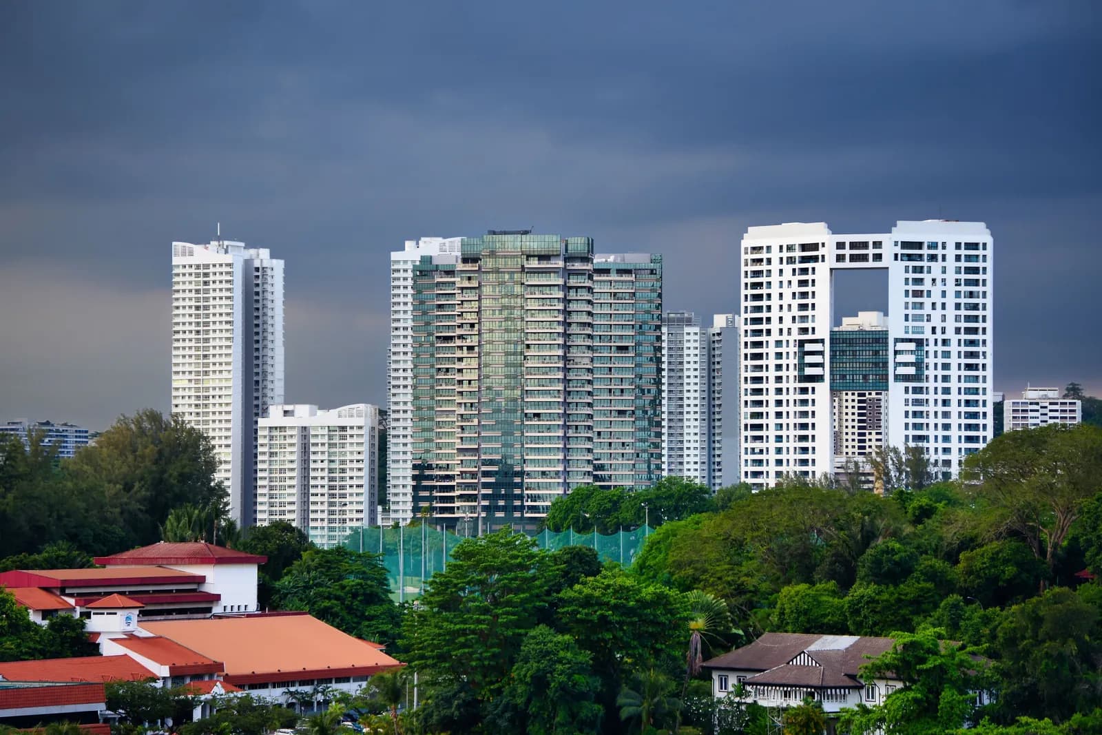 NUS Unveils AI Sense Maker, a Research Discovery Tool Built on 150,000 Digitised Sources